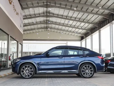 2019 BMW X Series 4 Mkit