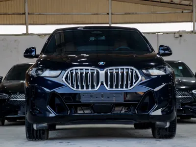 2025 BMW X Series 6