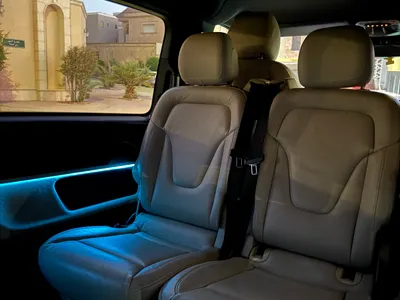 2020 Mercedes-Benz V 250