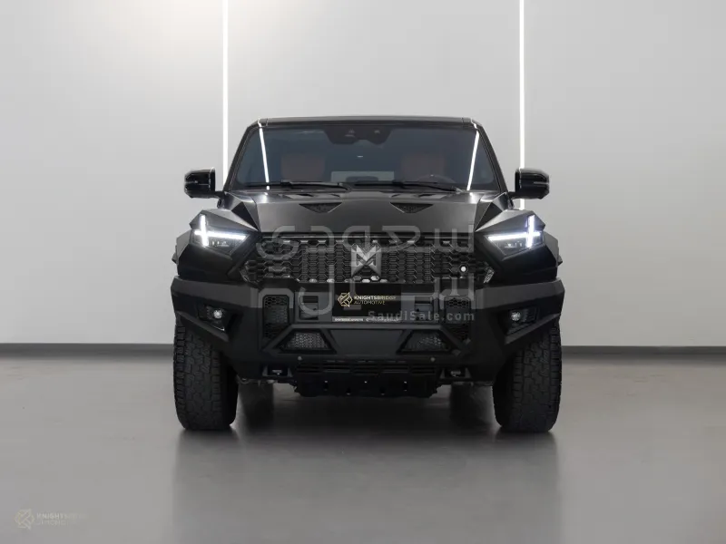 2025 دونج فينج 917 ام هيرو