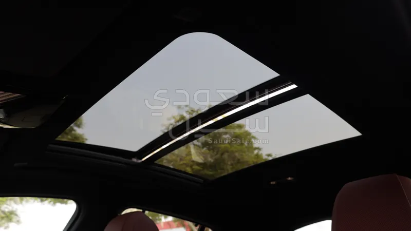 2025 BMW X Series 6 40i