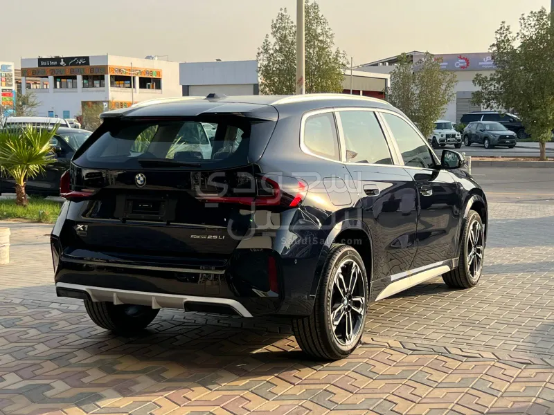 2025 BMW X Series 1