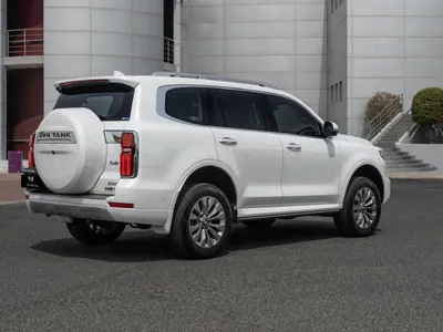 2025 Great Wall Tank
