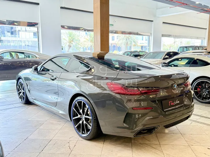 2019 BMW 8 Series M 850i
