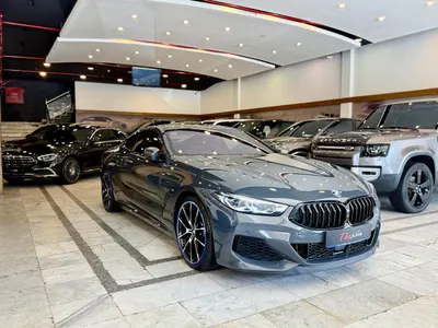 2019 BMW 8 Series M 850i