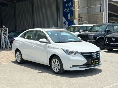 2021 شانجان السفن