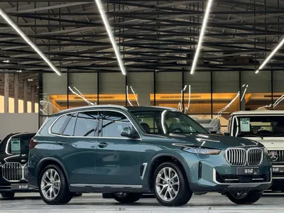 2024 BMW X Series 5