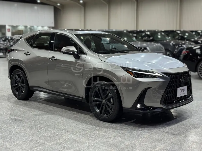 2025 Lexus NX 350