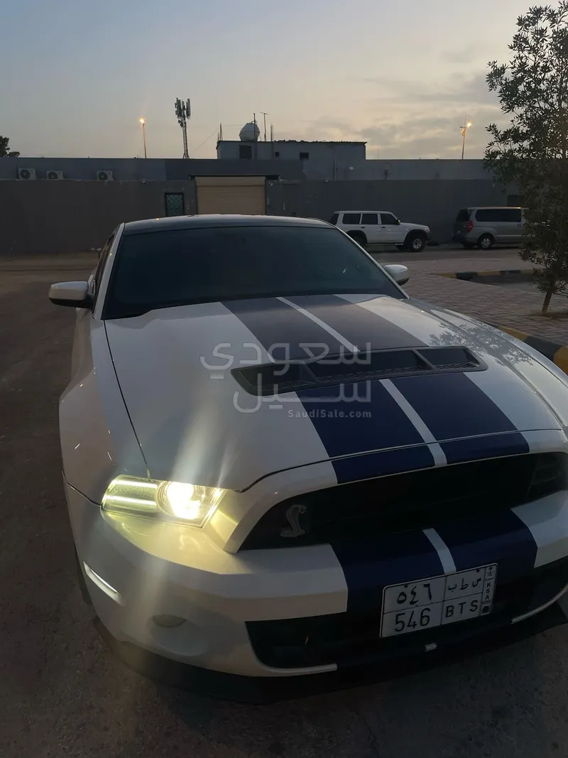 2013 Ford Mustang Shelby GT 500