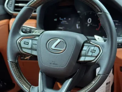 2025 Lexus LX 600 vip