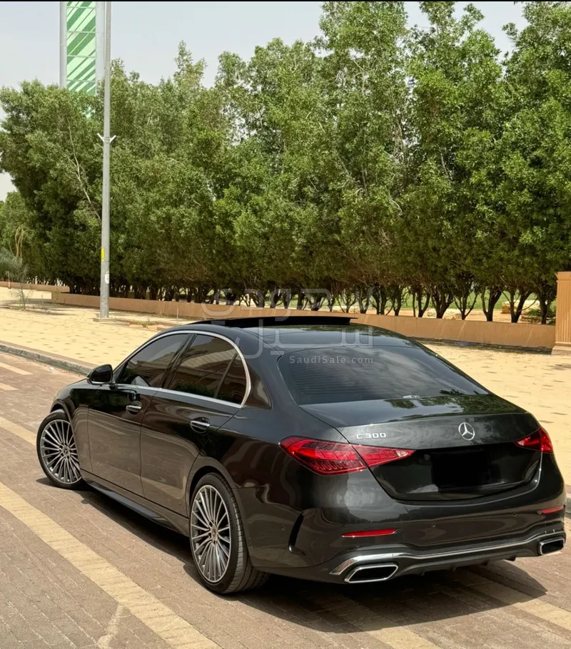 2022 Mercedes-Benz C 300
