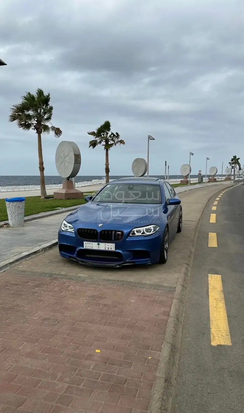 2013 BMW M Series M5