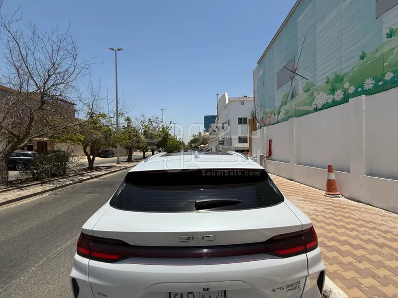 2024 بي واي دي اف 3