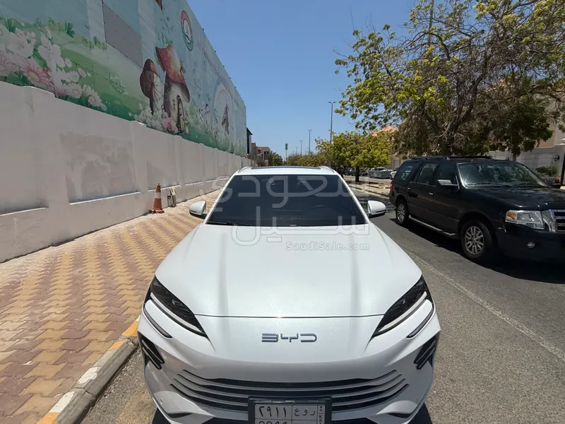 2024 بي واي دي اف 3