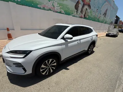 2024 بي واي دي اف 3