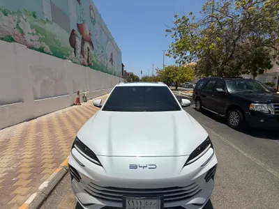 2024 بي واي دي اف 3
