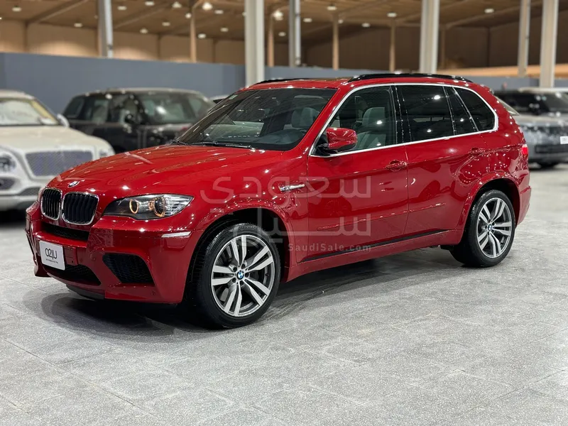 2010 BMW X Series 5 M