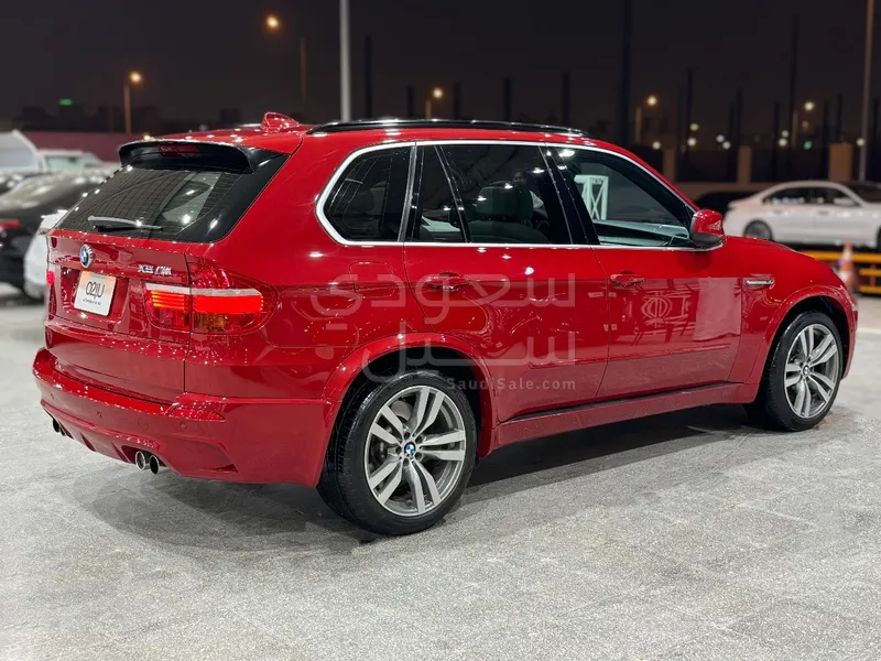 2010 BMW X Series 5 M