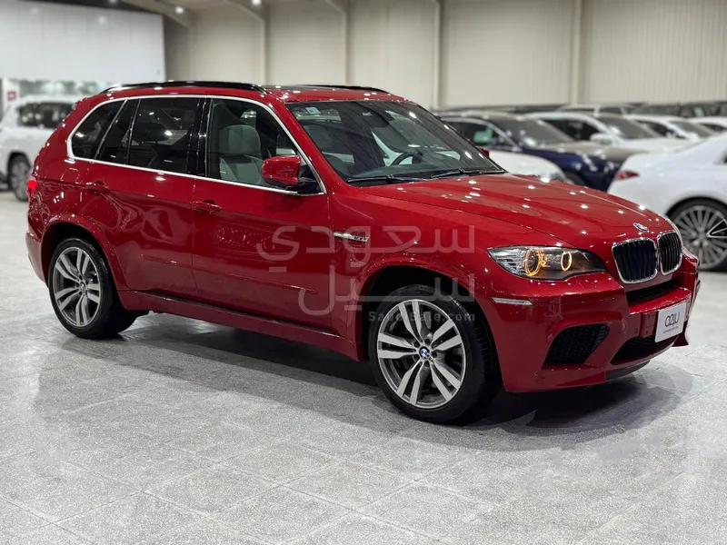 2010 BMW X Series 5 M