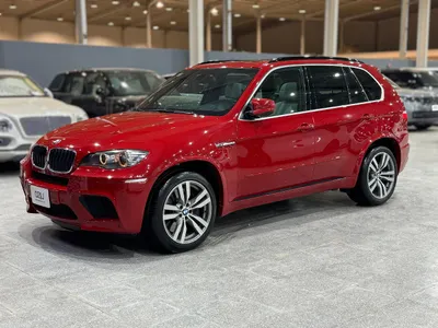 2010 BMW X Series 5 M