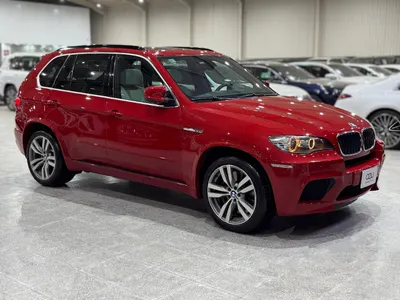 2010 BMW X Series 5 M