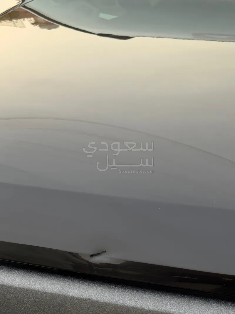 2022 Haval Dargo