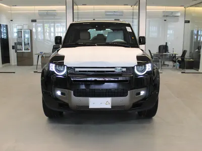 2025 Land Rover Defender 110