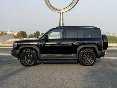 2026 بي واي دي ليوبارد 5