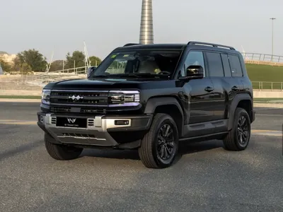 2026 بي واي دي ليوبارد 5