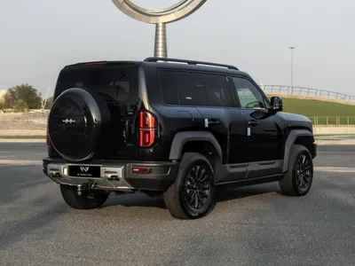 2026 بي واي دي ليوبارد 5