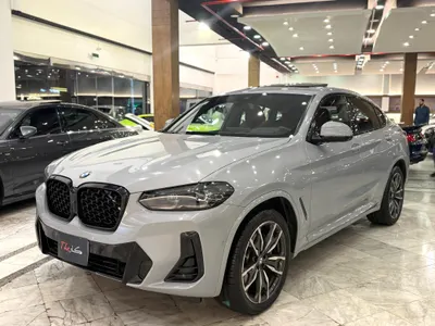 2022 BMW X Series 4 Mkit
