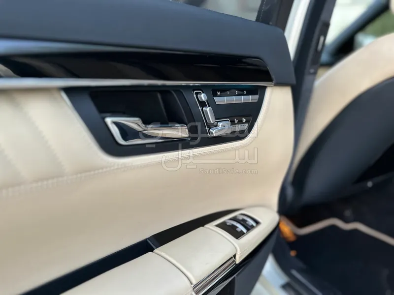 2010 Mercedes-Benz S 600