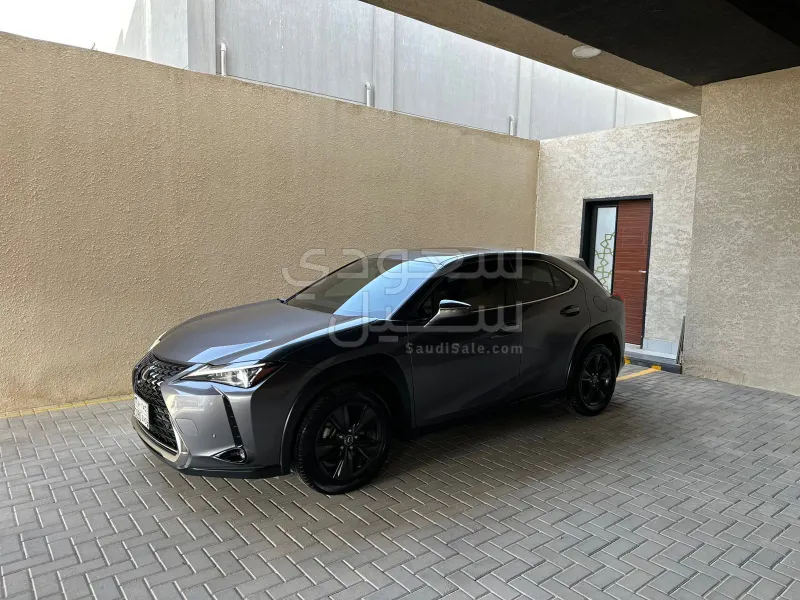 2021 Lexus UX 200