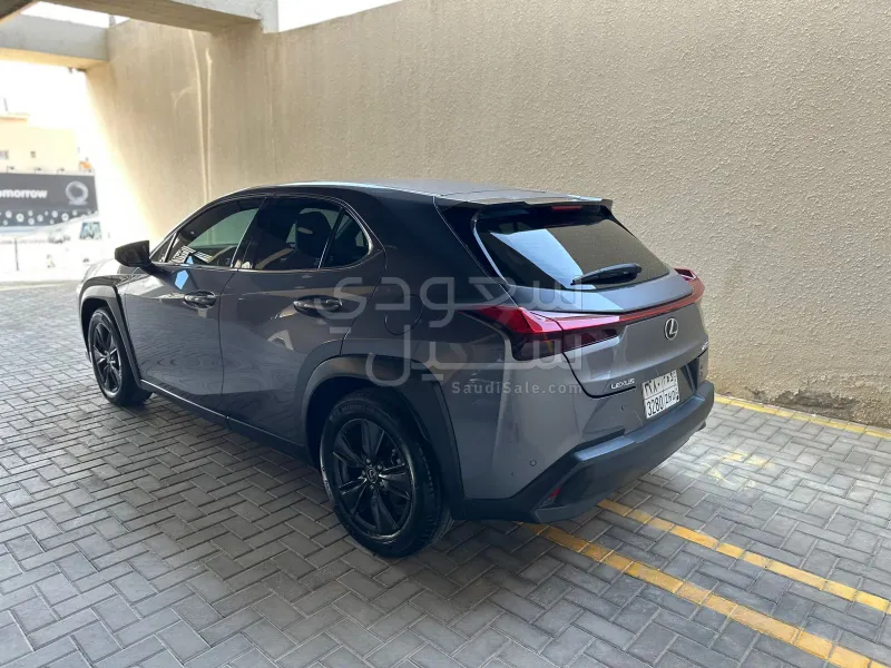 2021 Lexus UX 200