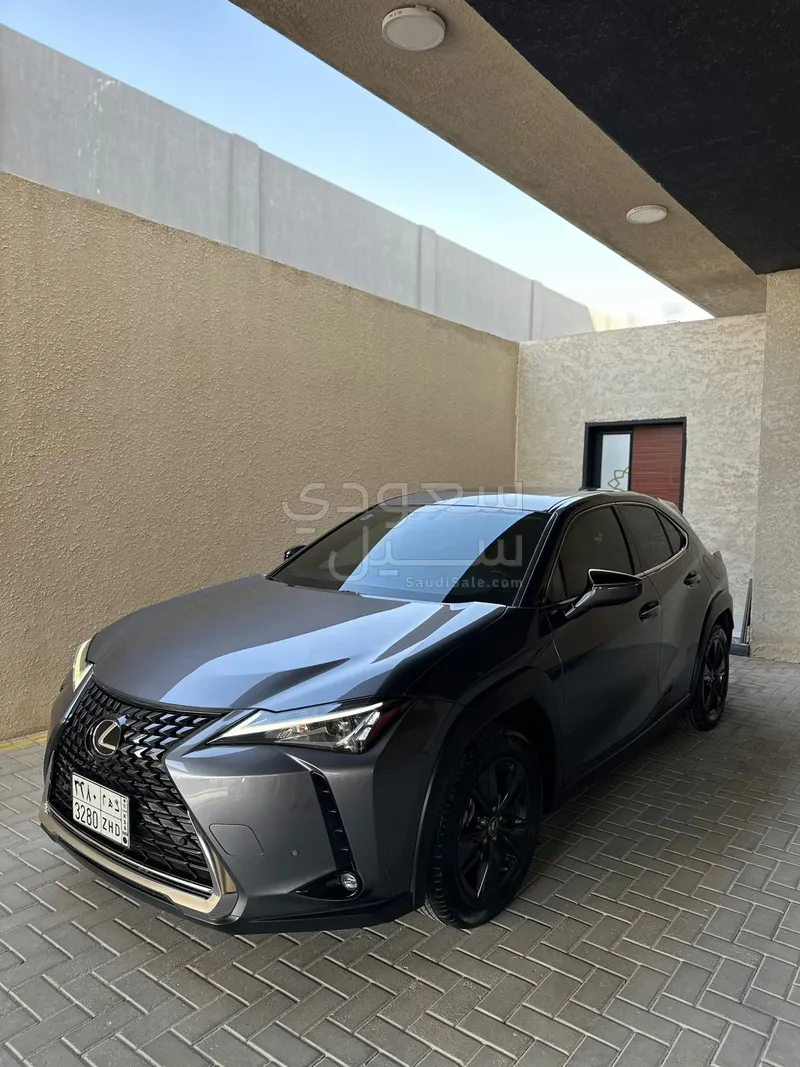 2021 Lexus UX 200