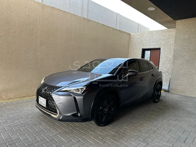 2021 Lexus UX 200