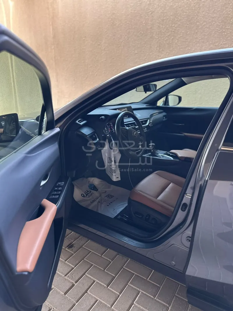 2021 Lexus UX 200