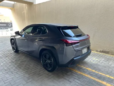 2021 Lexus UX 200
