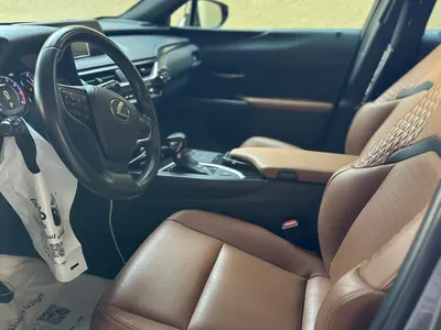 2021 Lexus UX 200
