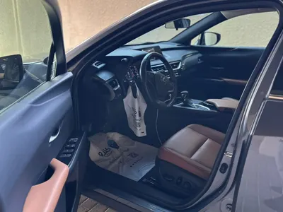 2021 Lexus UX 200