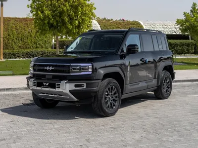 2026 بي واي دي ليوبارد 5