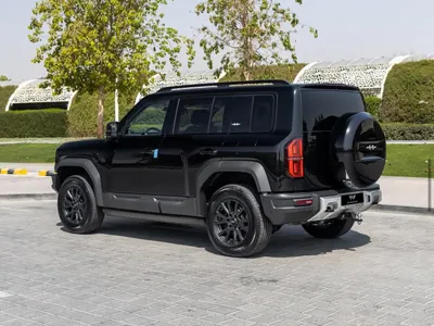 2026 بي واي دي ليوبارد 5