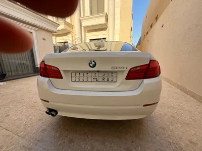 2013 BMW 5 Series 520i