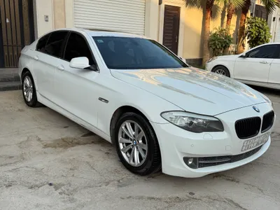 2013 BMW 5 Series 520i