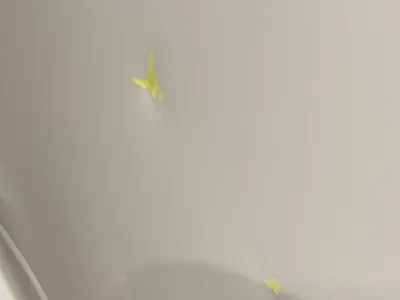 2023 بي ام دبليو الفئة الرابعة 420 أي