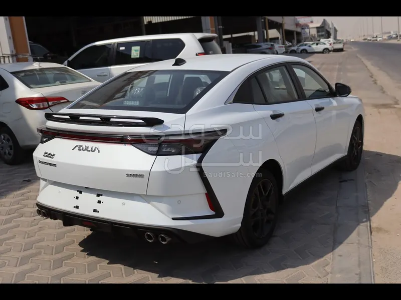 2025 Dongfeng Shine
