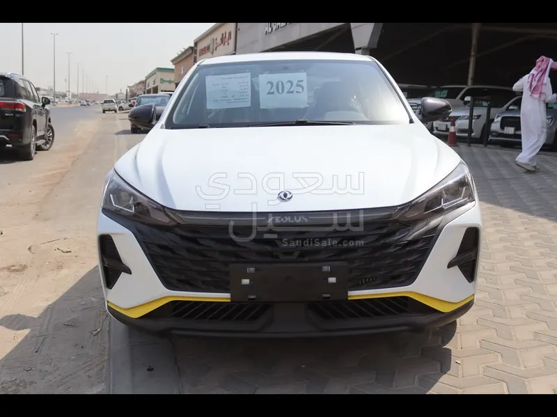 2025 Dongfeng Shine