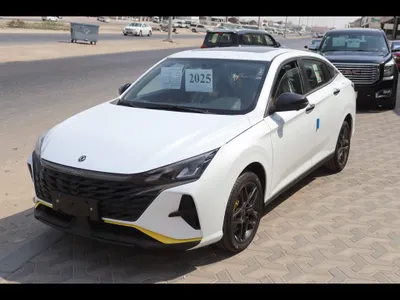2025 Dongfeng Shine