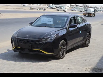 2025 Dongfeng Shine