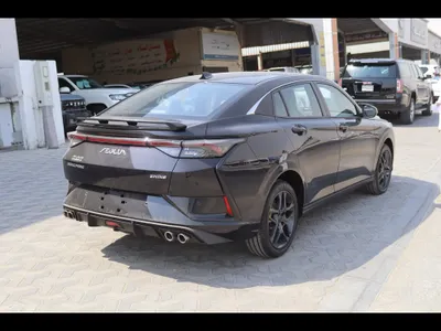2025 Dongfeng Shine